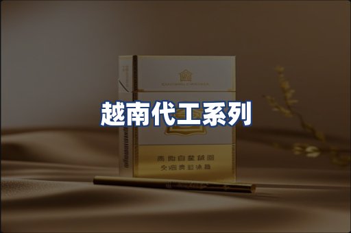 越南代工系列